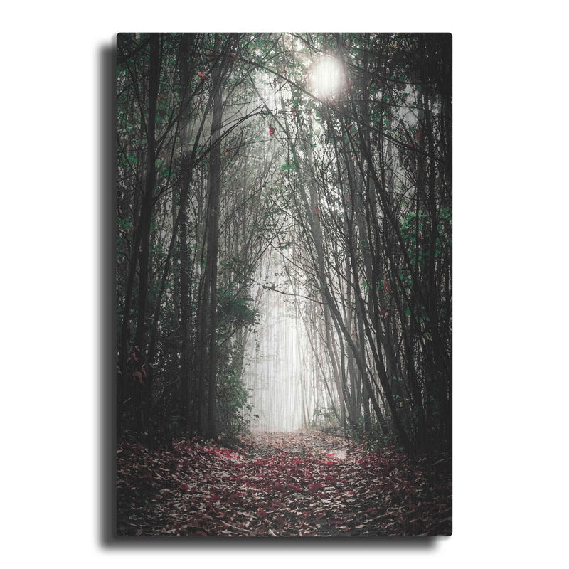 'Path In The Woods' by Susan Ball – Metal Wall Art