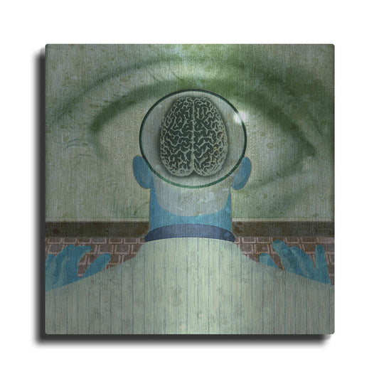 Luxe Metal Art 'Minds Eye' by Anthony Freda, Metal Wall Art