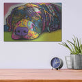 'Savvy Labrador' by Dean Russo – Metal Wall Art, 16x12 room view