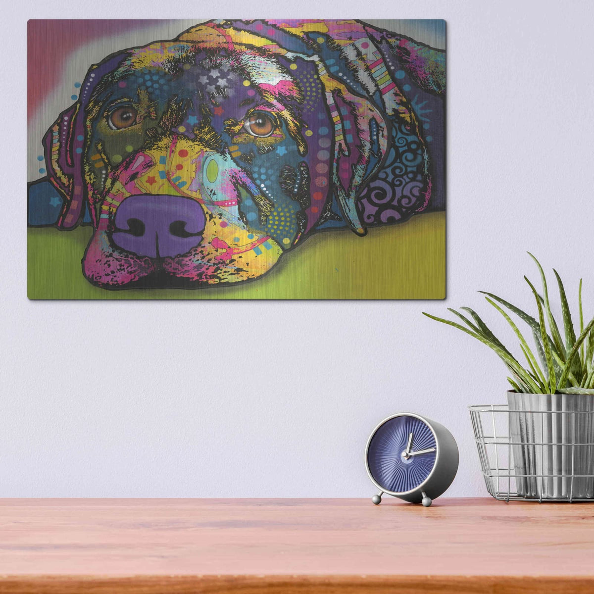 'Savvy Labrador' by Dean Russo – Metal Wall Art, 16x12 room view