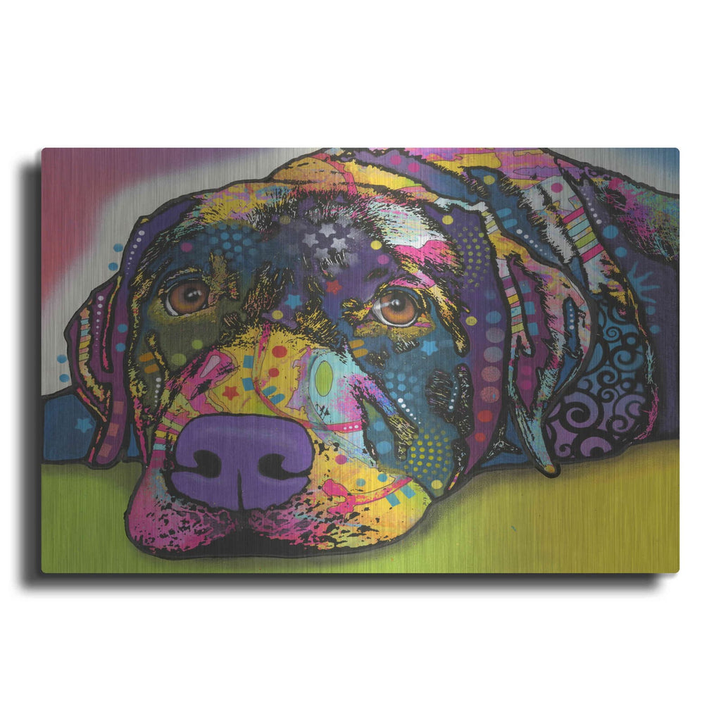 'Savvy Labrador' by Dean Russo – Metal Wall Art