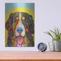 'Bernese Mountain Dog' by Dean Russo – Metal Wall Art, 12x16 room view