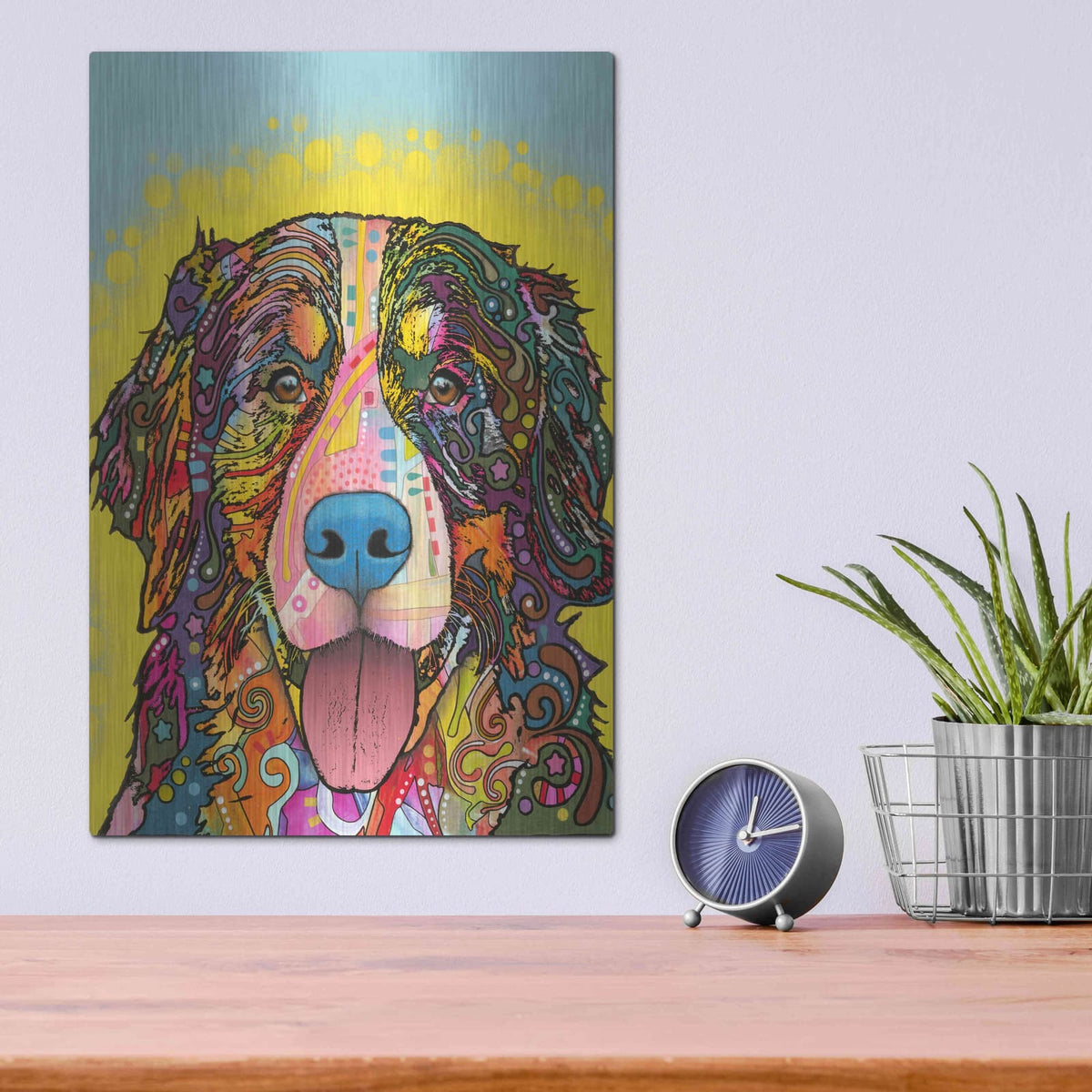 'Bernese Mountain Dog' by Dean Russo – Metal Wall Art, 12x16 room view