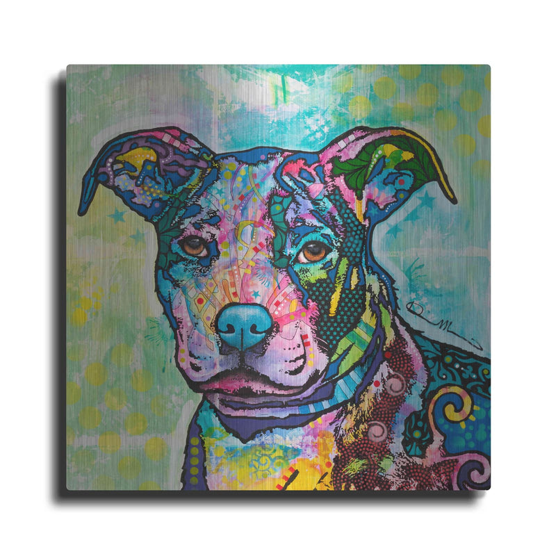 'Entrancing' by Dean Russo – Metal Wall Art