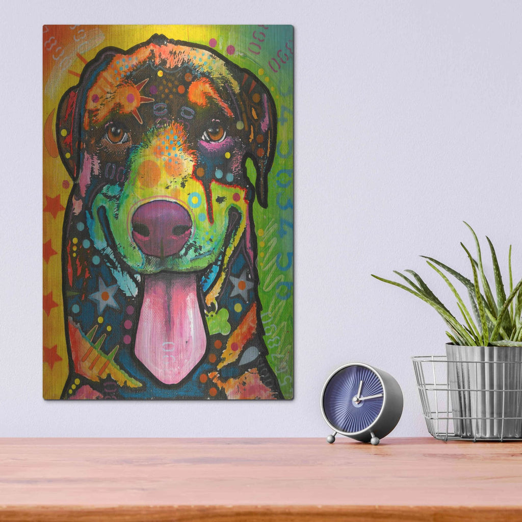 'Rottie Pup' by Dean Russo – Metal Wall Art, 12x16 room view