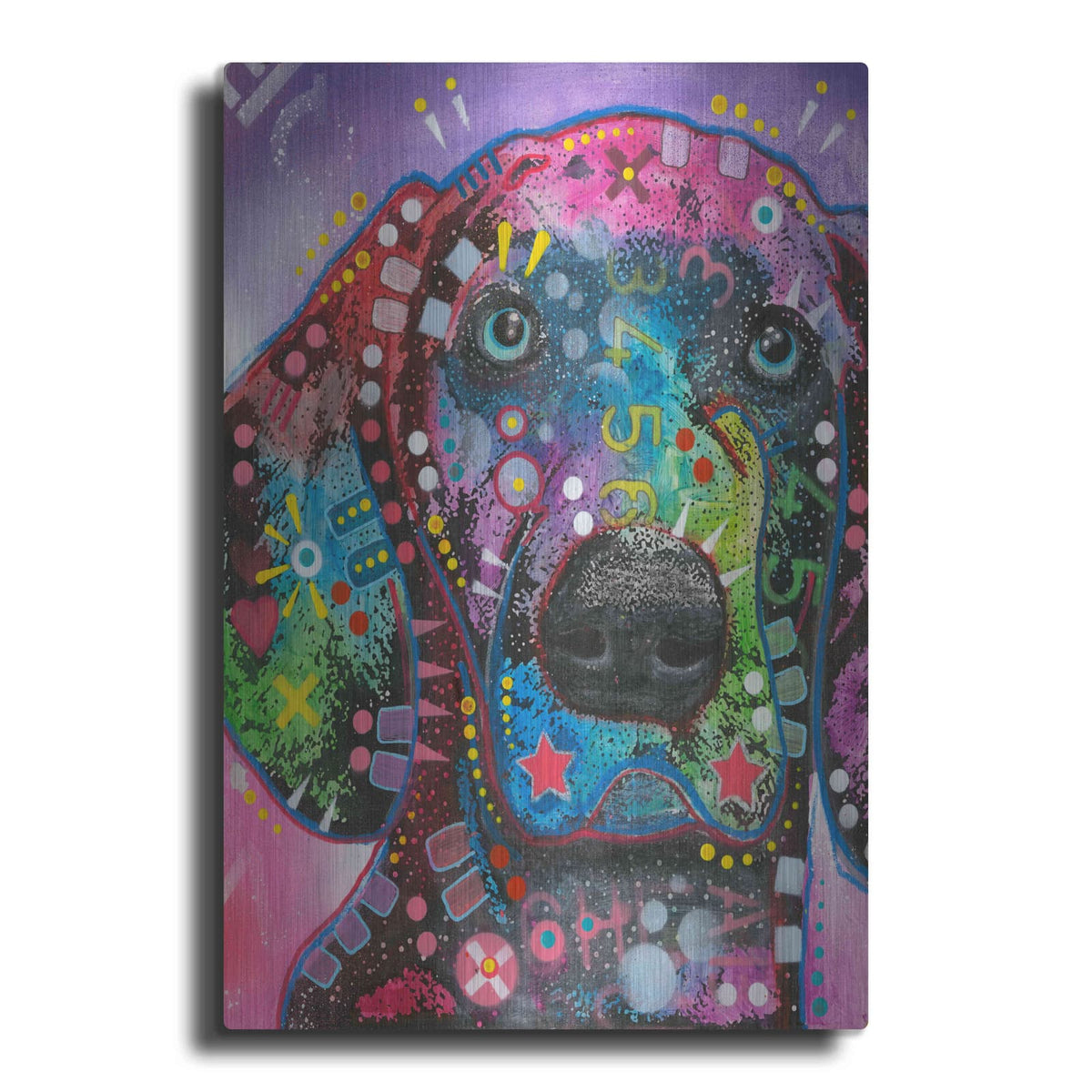 'Purple Excitement' by Dean Russo – Metal Wall Art