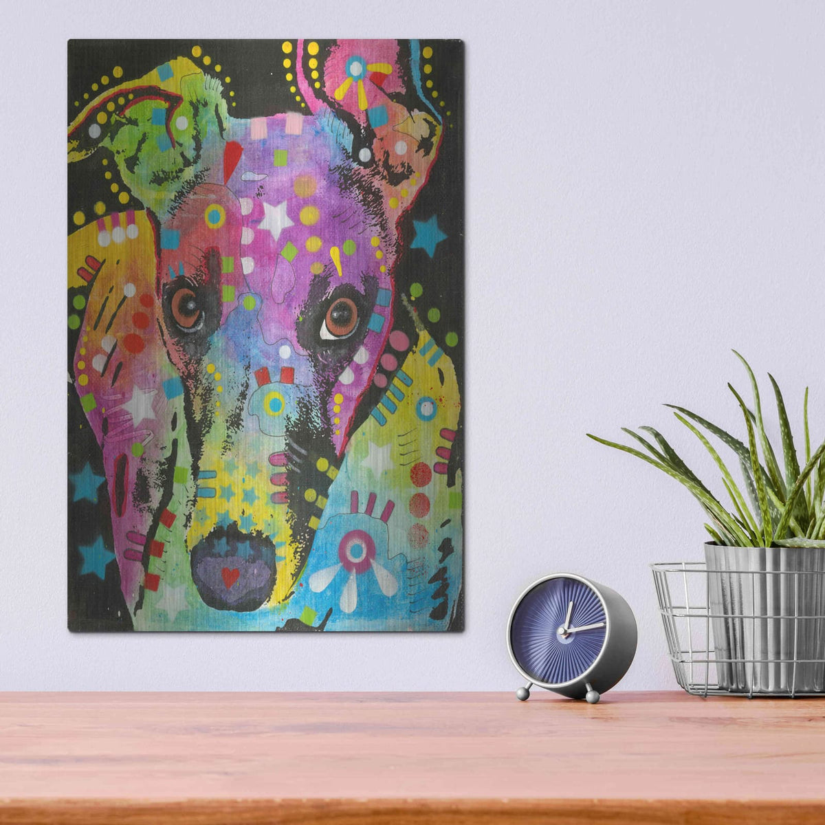 'Curious Greyhound' by Dean Russo – Metal Wall Art, 12x16 room view