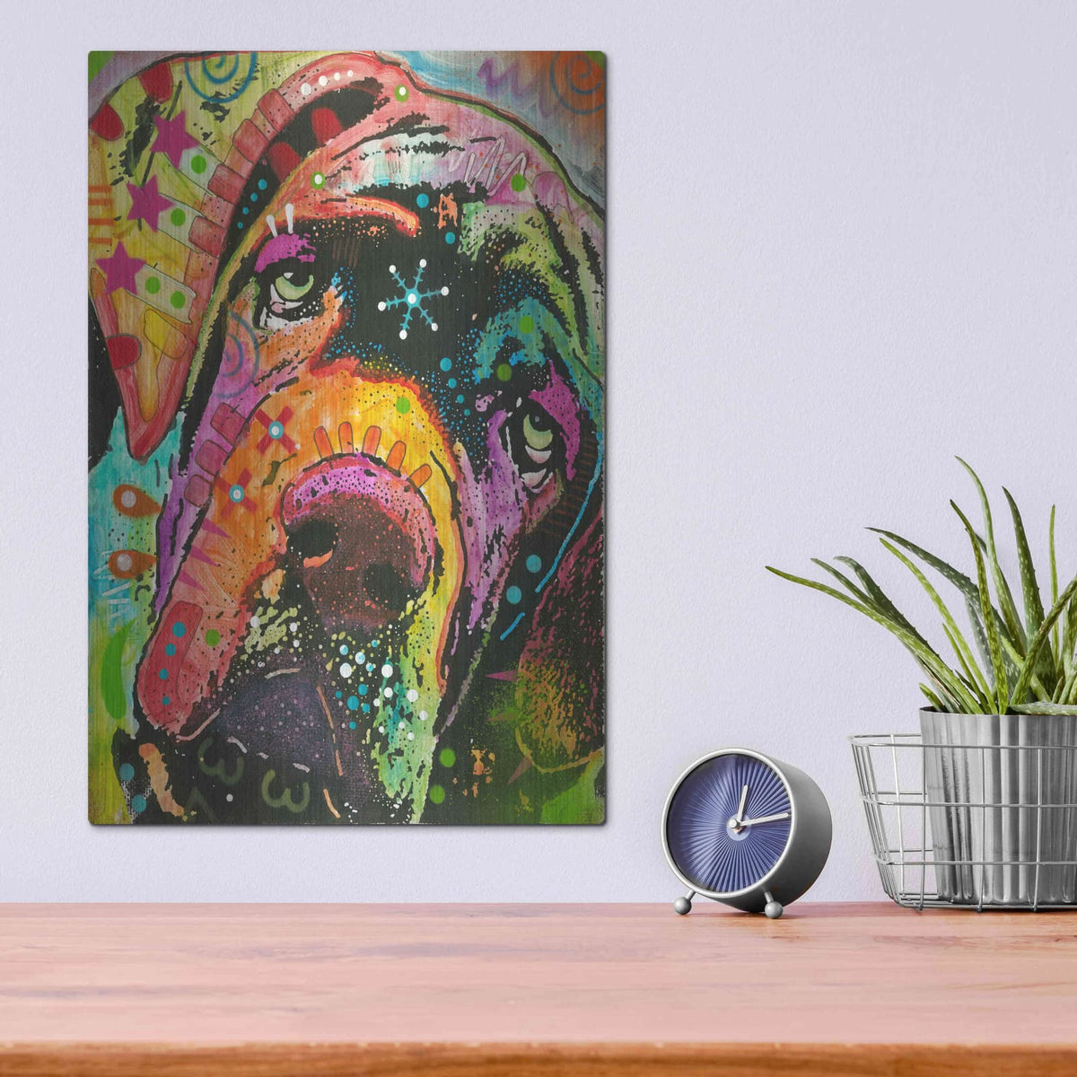 'Ol' Droopyface' by Dean Russo – Metal Wall Art, 12x16 room view