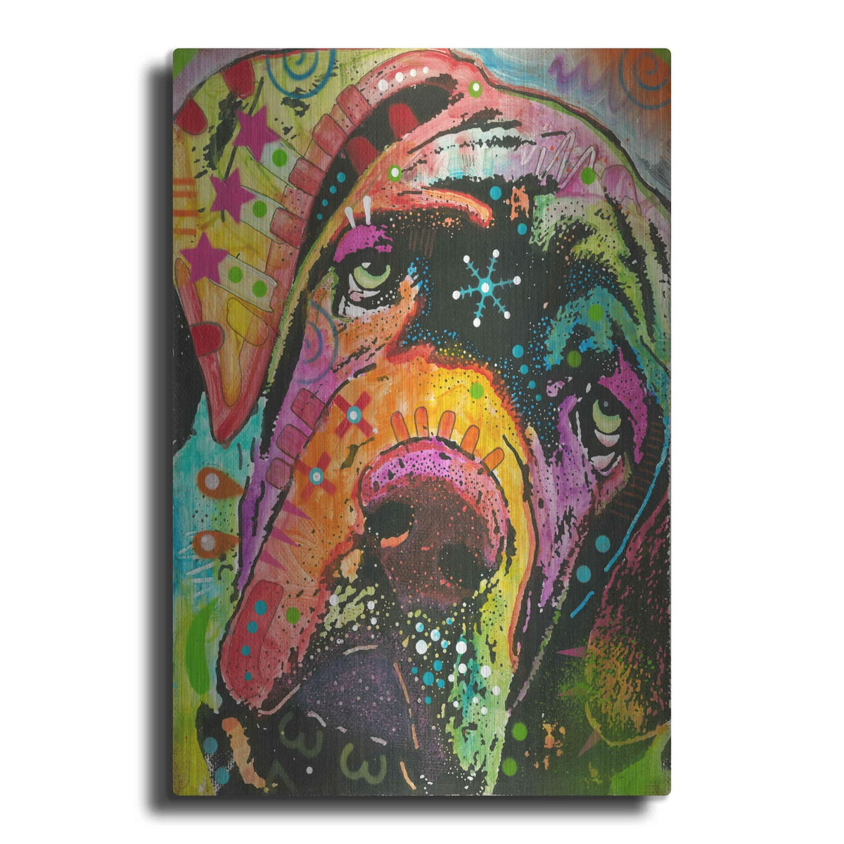 'Ol' Droopyface' by Dean Russo – Metal Wall Art