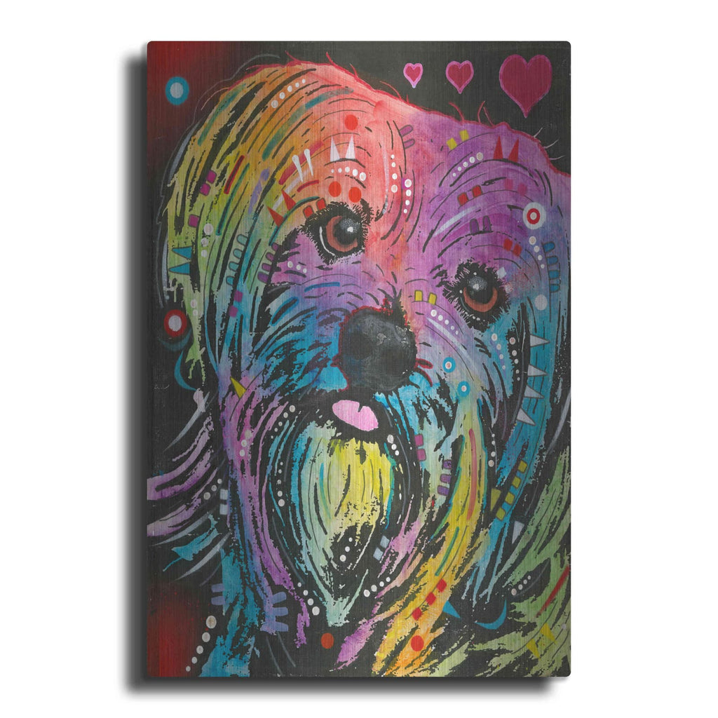 'Maltese Pup' by Dean Russo – Metal Wall Art