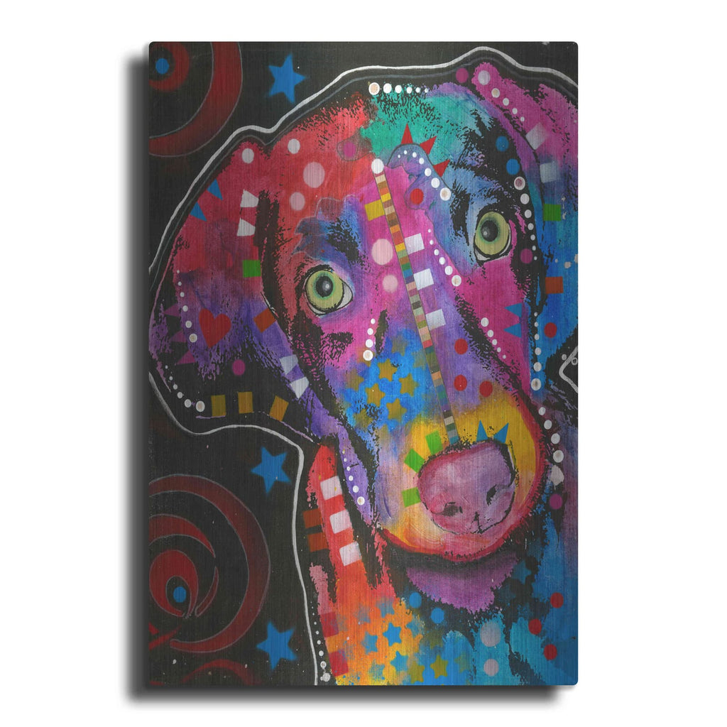 'Chesapeake Bay Retriever' by Dean Russo – Metal Wall Art