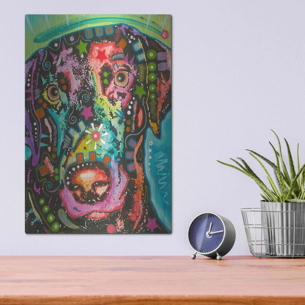 'Psychedelic Lab' by Dean Russo – Metal Wall Art, 12x16 room view