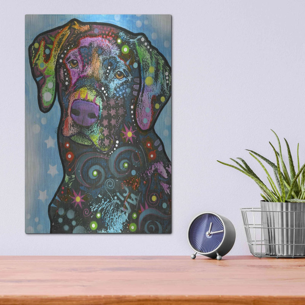 'Blue Lab' by Dean Russo – Metal Wall Art, 12x16 room view
