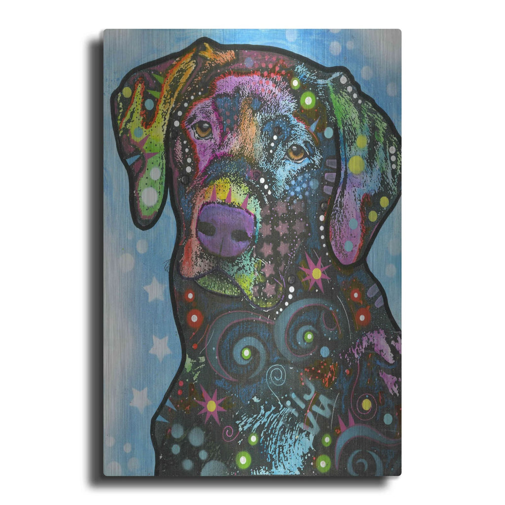 'Blue Lab' by Dean Russo – Metal Wall Art