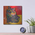 'Baby Albert' by Dean Russo – Metal Wall Art, 12x12 room view