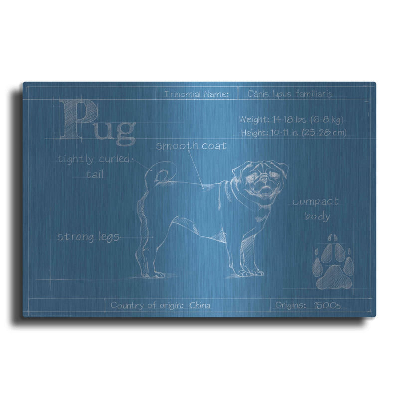 'Blueprint Pug' by Ethan Harper – Metal Wall Art