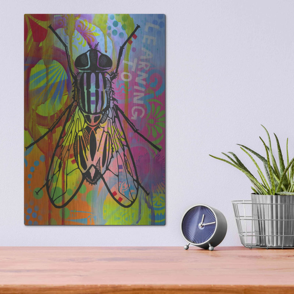 'Leaning to Fly' by Dean Russo – Metal Wall Art, 12x16 room view