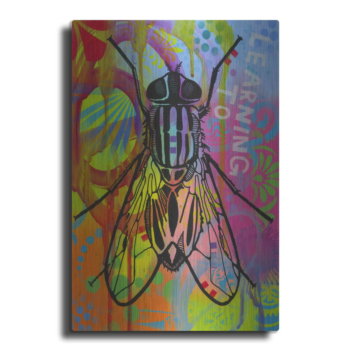 'Leaning to Fly' by Dean Russo – Metal Wall Art