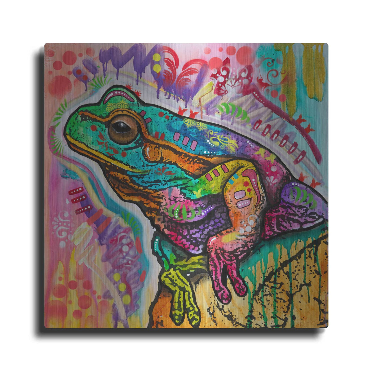 'Psychedelic Frog' by Dean Russo – Metal Wall Art