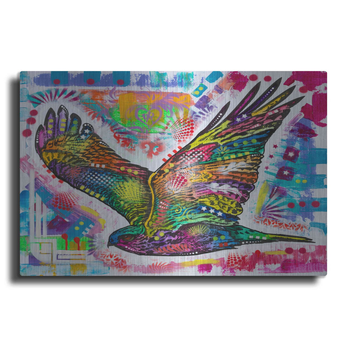 'Hawk' by Dean Russo – Metal Wall Art