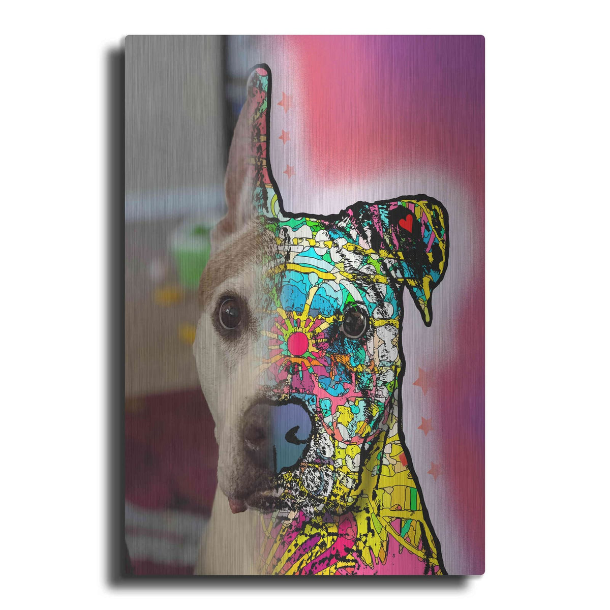 'Bea Lueck_Fin' by Dean Russo – Metal Wall Art