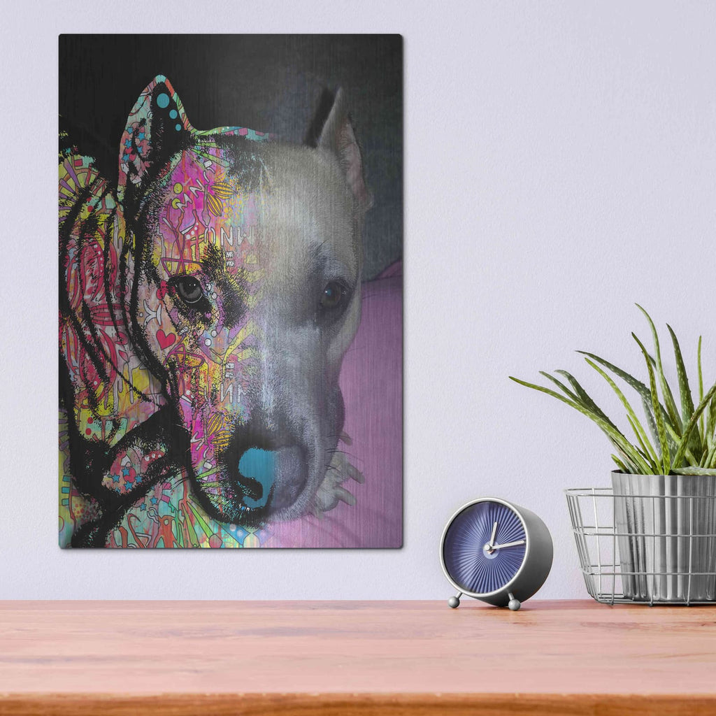 'Carol Bollard' by Dean Russo – Metal Wall Art, 12x16 room view
