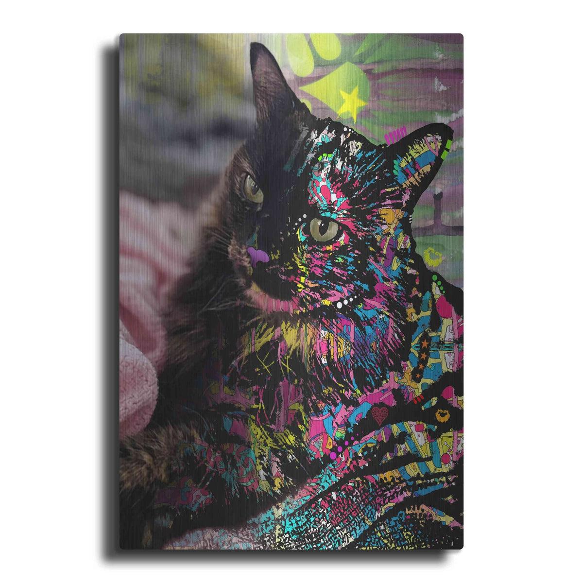 'Deb Sebul 1' by Dean Russo – Metal Wall Art