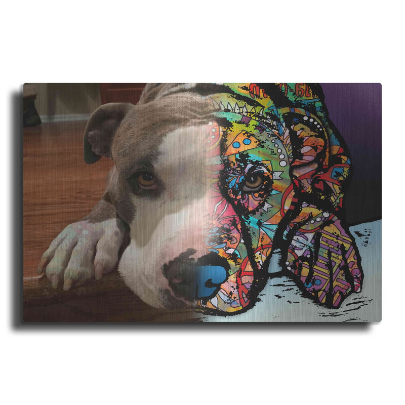 'Kim Petty 1' by Dean Russo – Metal Wall Art