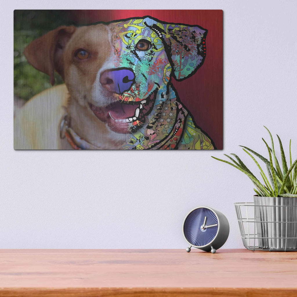 'Mary Tithof_3' by Dean Russo – Metal Wall Art, 16x12 room view