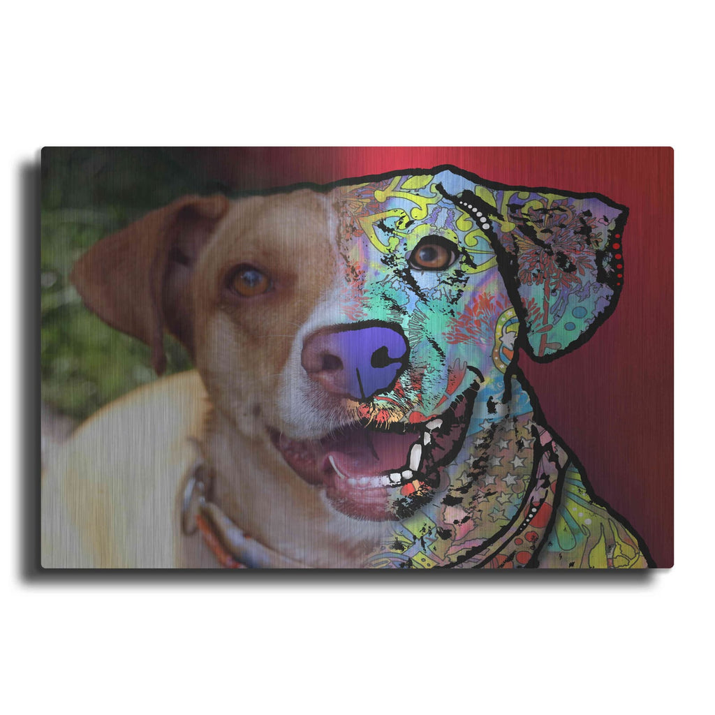 'Mary Tithof_3' by Dean Russo – Metal Wall Art