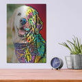 'Stephanie Bornstein 1' by Dean Russo – Metal Wall Art, 12x16 room view