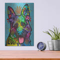 'German Shepherd (Love Collection)' by Dean Russo – Metal Wall Art, 12x16 room view