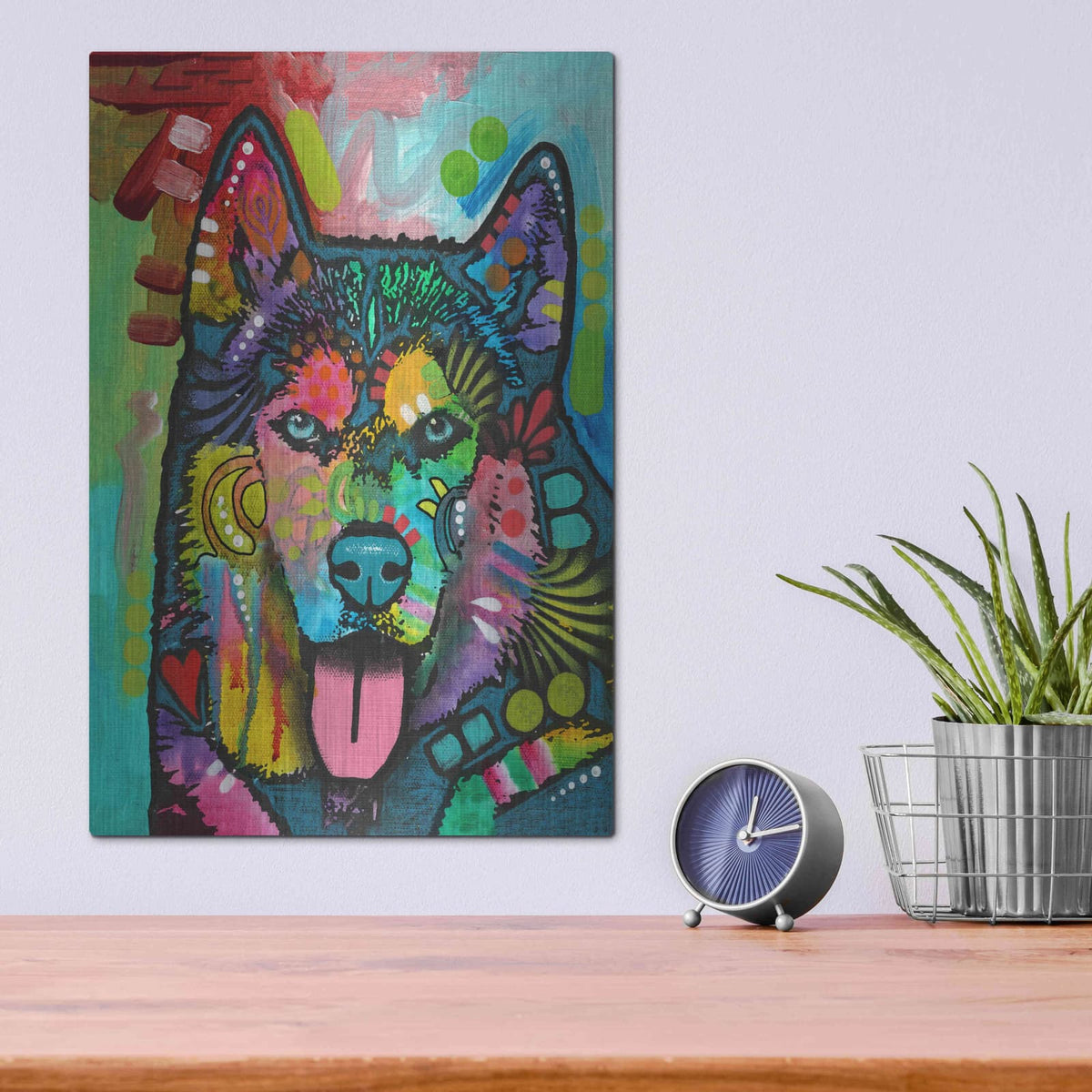 'Husky' by Dean Russo – Metal Wall Art, 12x16 room view