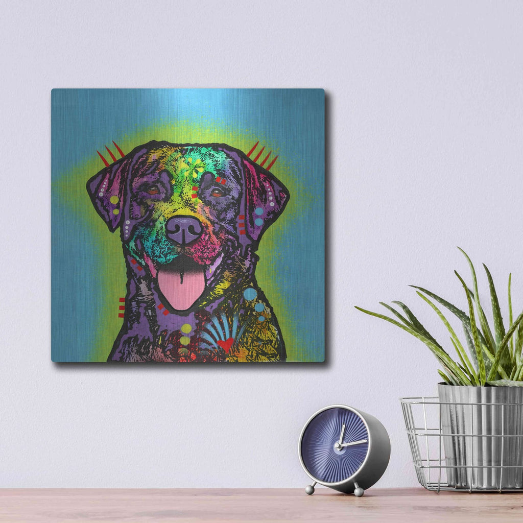 'Lab' by Dean Russo – Metal Wall Art, 12x12 room view