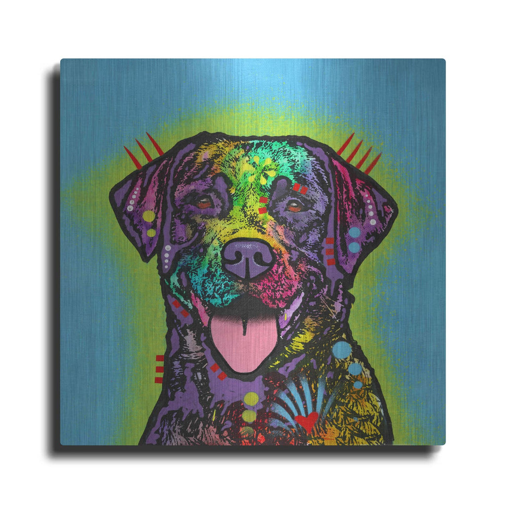 'Lab' by Dean Russo – Metal Wall Art