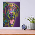 'Oh Whaaat' by Dean Russo – Metal Wall Art, 12x16 room view