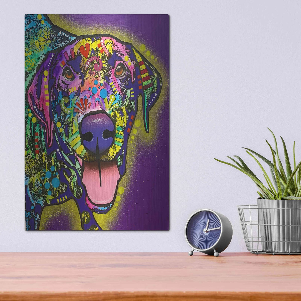 'Oh Whaaat' by Dean Russo – Metal Wall Art, 12x16 room view