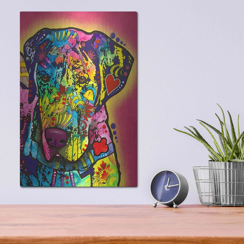 'Observation Duty' by Dean Russo – Metal Wall Art, 12x16 room view