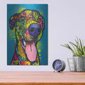 'This Is A Good Day' by Dean Russo – Metal Wall Art, 12x16 room view