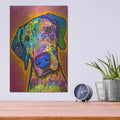 'But Why' by Dean Russo – Metal Wall Art, 12x16 room view