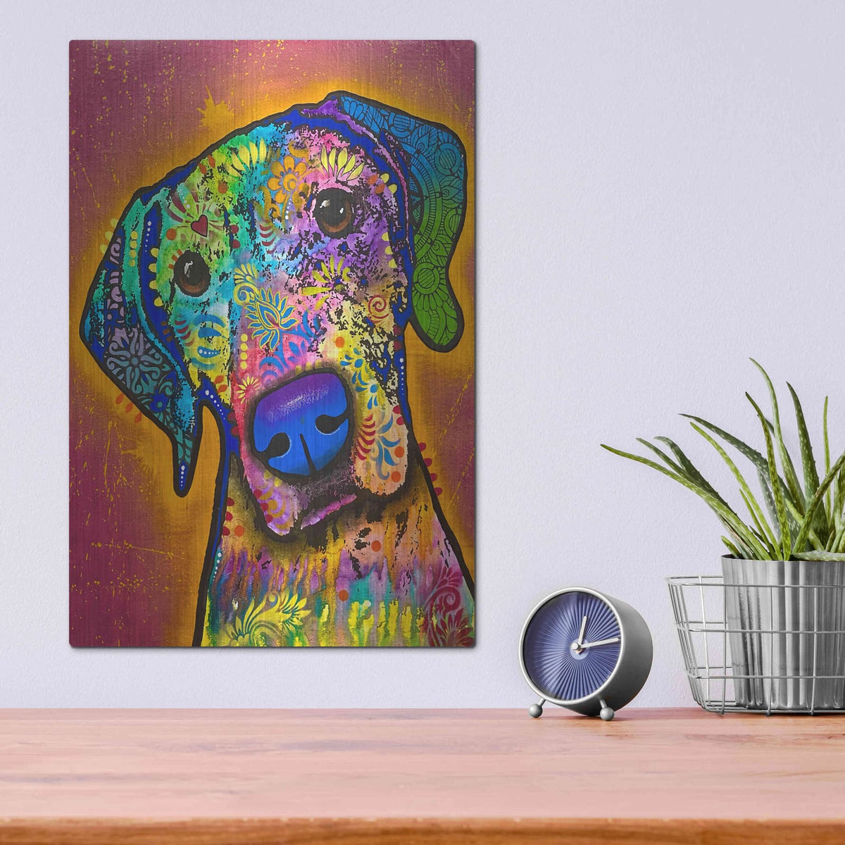 'But Why' by Dean Russo – Metal Wall Art, 12x16 room view