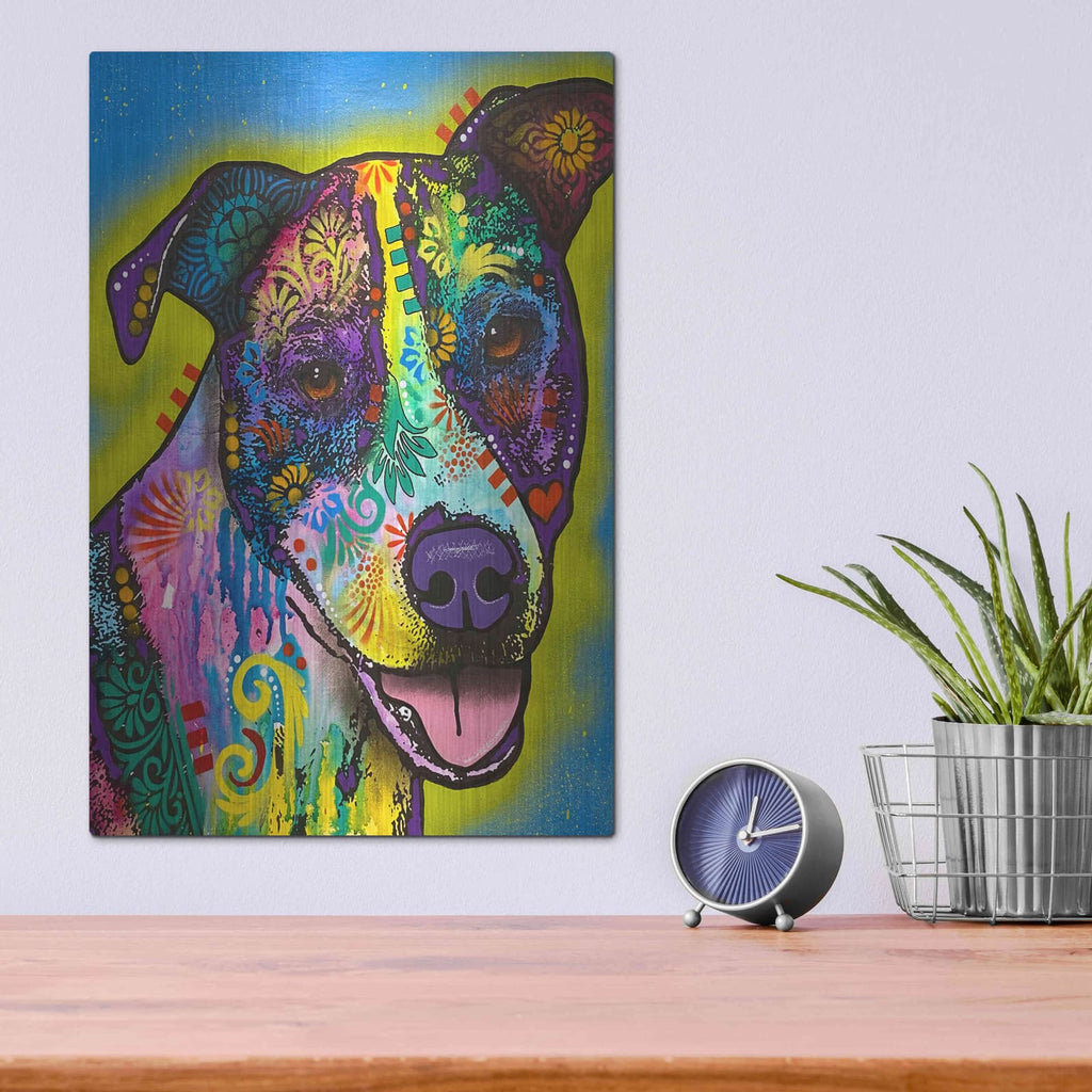 'Lets Do One More Lap' by Dean Russo – Metal Wall Art, 12x16 room view