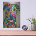 'I Like You A Lot' by Dean Russo – Metal Wall Art, 12x16 room view