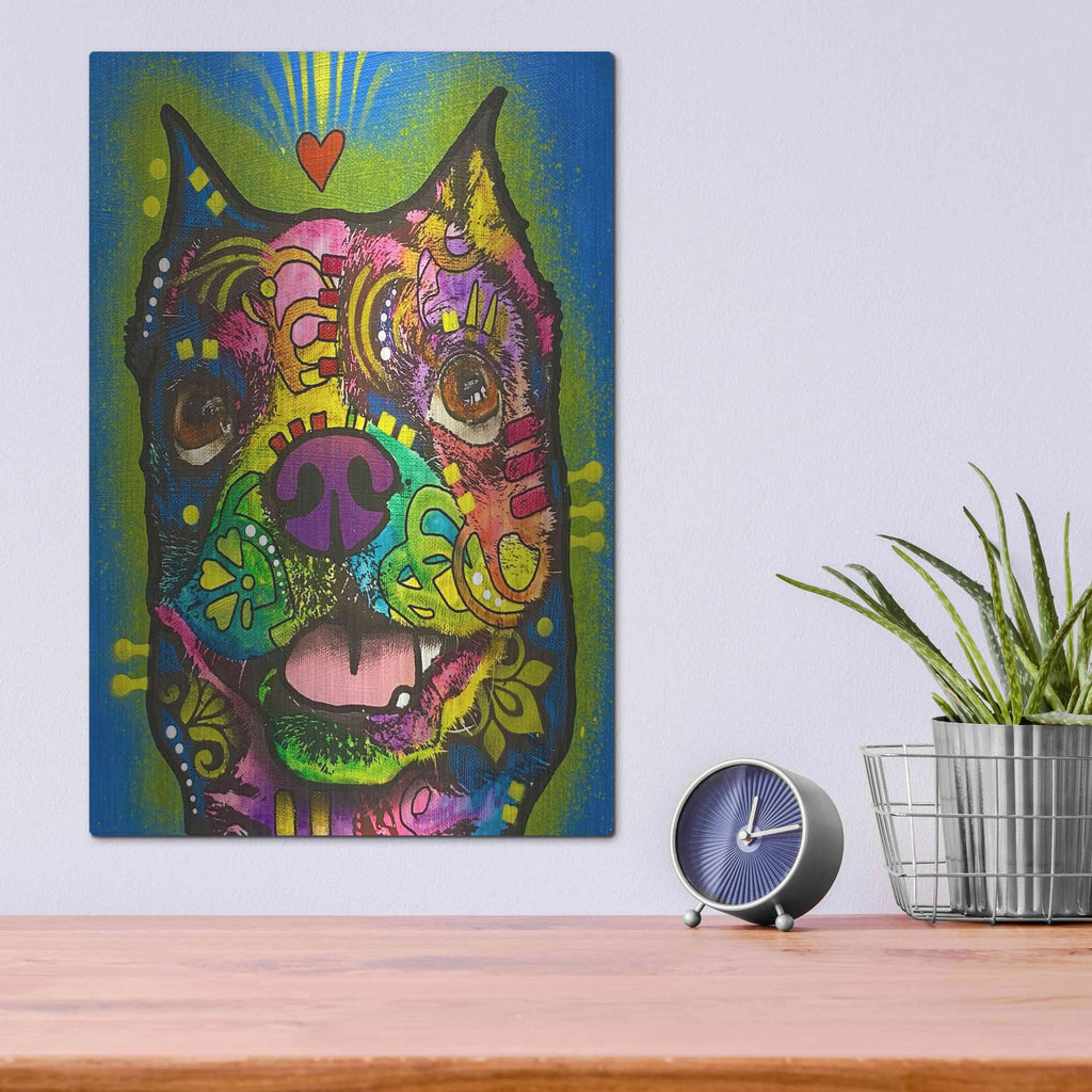'Loving This Wonderful World' by Dean Russo – Metal Wall Art, 12x16 room view