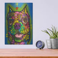 'Loving This Wonderful World' by Dean Russo – Metal Wall Art, 12x16 room view