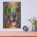 'These Some Gormet Treats' by Dean Russo – Metal Wall Art, 12x16 room view
