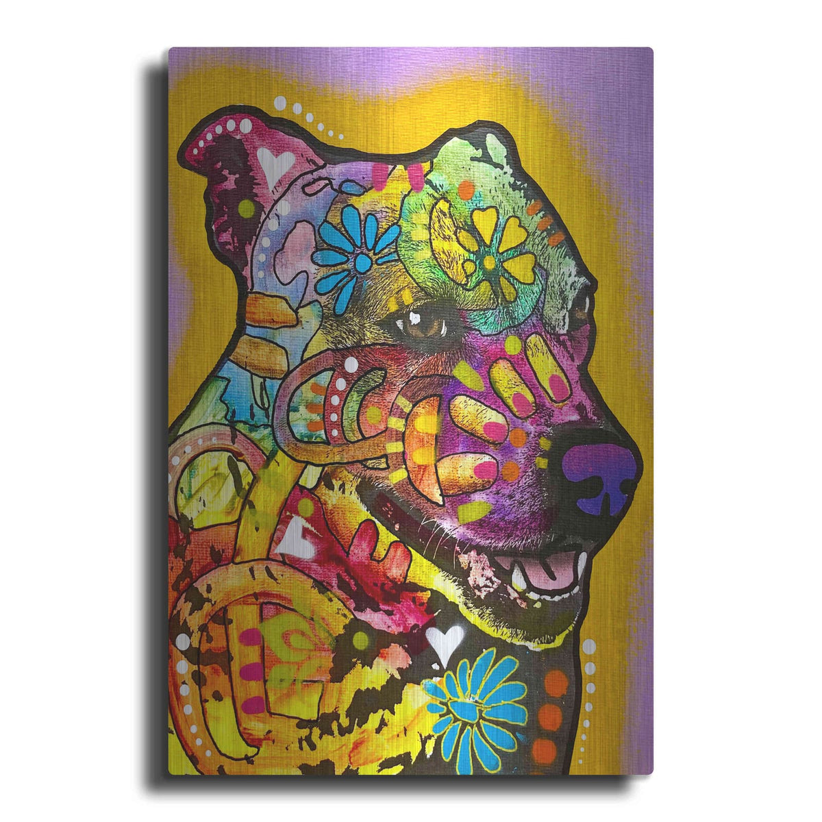 'Ready For Zoomies' by Dean Russo – Metal Wall Art