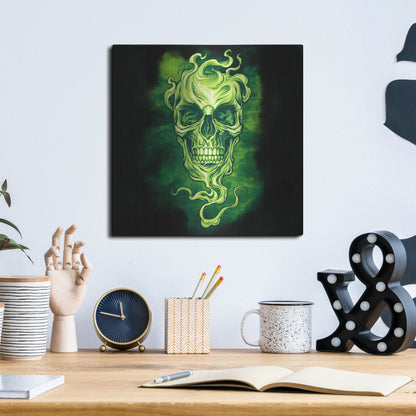 Luxe Metal Art 'Smoky Skull' by Flyland Designs, Metal Wall Art,12x12