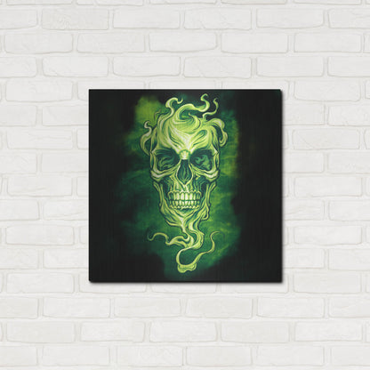 Luxe Metal Art 'Smoky Skull' by Flyland Designs, Metal Wall Art,24x24