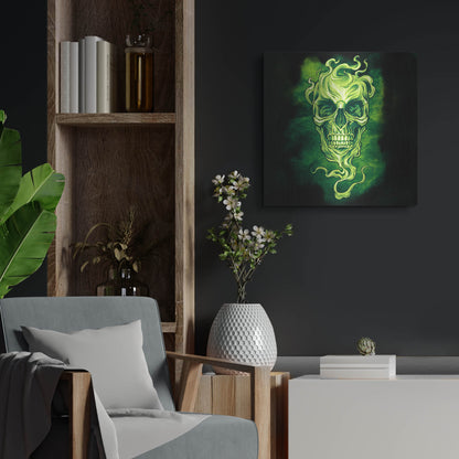 Luxe Metal Art 'Smoky Skull' by Flyland Designs, Metal Wall Art,24x24